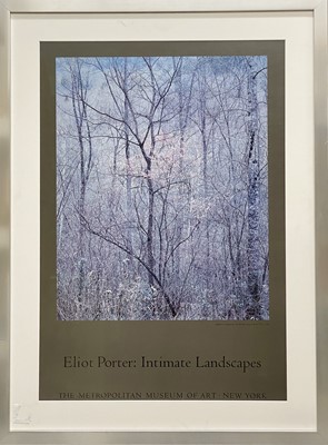 Lot 205 - [ART POSTER]Eliot Porter: Intimate Landscapes.