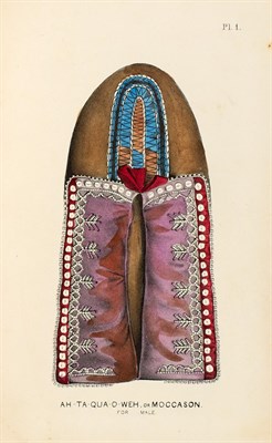 Lot 25 - Two copies of the New York State Cabinet of Natural History