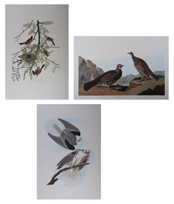 Lot 1029 - After John James Audubon (1785-1851)