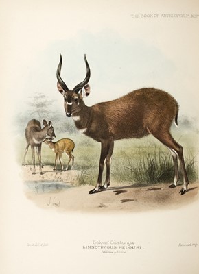 Lot 199 - Sclater and Thomas The Book of Antelopes, the Alfred Pease copy
