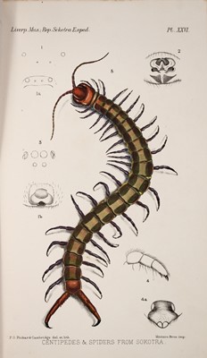 Lot 152 - Forbes on The natural history of Sokotra and Abdel-Kuri