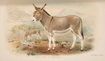 Lot 152 - Forbes on The natural history of Sokotra and Abdel-Kuri