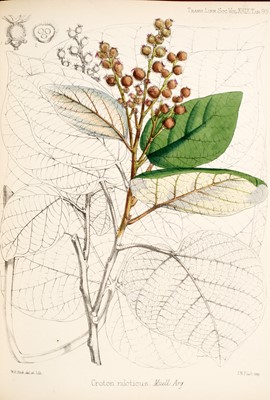 Lot 204 - The rare colored issue of The Botany of the Speke and Grant Expedition