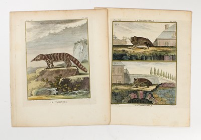Lot 1 - Over one hundred mostly hand-colored prints extracted from Audubon, Curtis, Diderot and others.