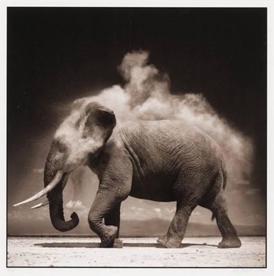 Lot 3035 - Nick Brandt. Elephant with exploding dust, Amboselli