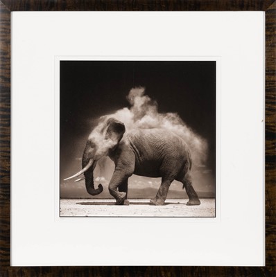 Lot 3035 - Nick Brandt. Elephant with exploding dust, Amboselli