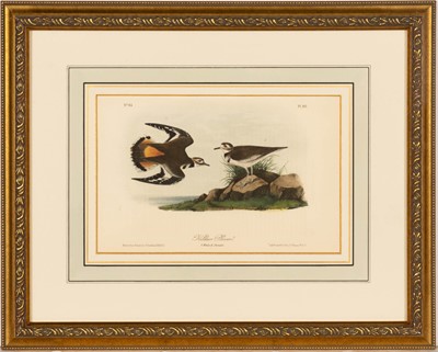 Lot 69 - After John James Audubon (1785-1851)