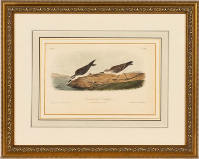 Lot 69 - After John James Audubon (1785-1851)