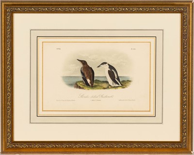 Lot 69 - After John James Audubon (1785-1851)