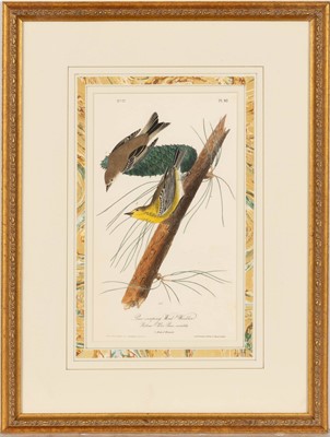 Lot 69 - After John James Audubon (1785-1851)