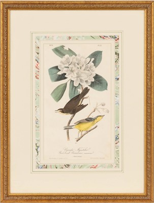 Lot 69 - After John James Audubon (1785-1851)