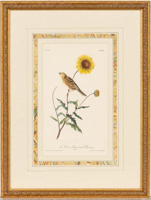 Lot 69 - After John James Audubon (1785-1851)