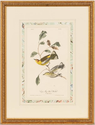 Lot 69 - After John James Audubon (1785-1851)