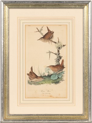 Lot 69 - After John James Audubon (1785-1851)