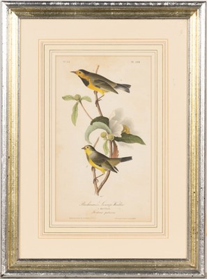 Lot 69 - After John James Audubon (1785-1851)