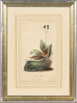 Lot 69 - After John James Audubon (1785-1851)