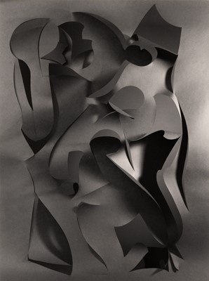Lot 3113 - Frederick Sommer. Cut Paper
