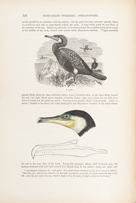 Lot 163 - Baird, S. F. The Water Birds of North America.