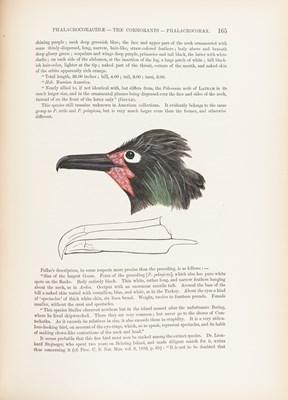 Lot 163 - Baird, S. F. The Water Birds of North America.