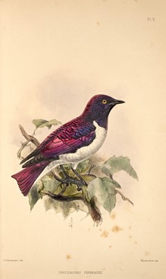 Lot 73 - J. V. Barboza du Bocage on the ornithology of Angola.