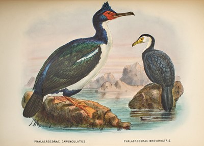 Lot 75 - The Birds of New Zealand counted Charles Darwin among its subscribers