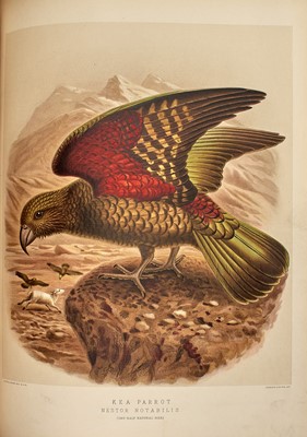 Lot 76 - The expanded second edition of Buller's fine work on the birds of New Zealand