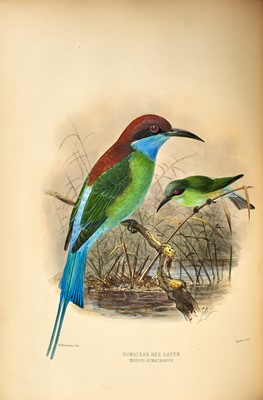 Lot 79 - Dresser's monograph of the Bee-eaters, with fine plates by Keulemans