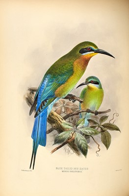 Lot 79 - Dresser's monograph of the Bee-eaters, with fine plates by Keulemans