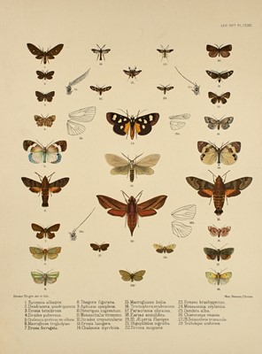 Lot 84 - With color plates of butterflies