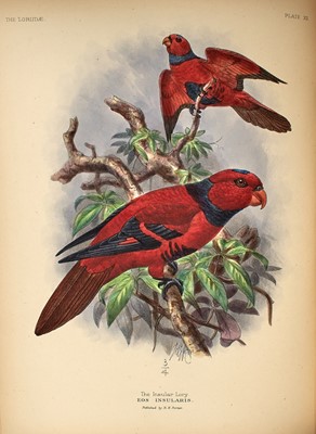 Lot 92 - Keulemans' Parrots are considered his finest work