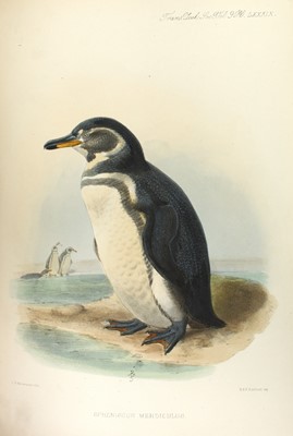Lot 96 - With a map of the Galapagos and a fine plate of a penguin
