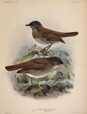 Lot 97 - A sumptuous monograph of the birds of Central America