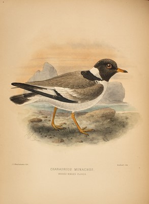 Lot 100 - Seebohm The Geographical Distribution of the Family Charadriidae