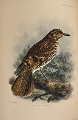Lot 101 - With excellent hand-colored plates by Keulemans