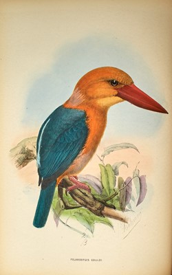 Lot 102 - Sharpe's beautifully illustrated monograph of Kingfishers