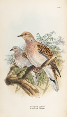 Lot 186 - Shelley's Handbook to the Birds of Egypt