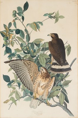 Lot 109 - After John James Audubon (1785-1851)