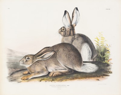 Lot 114 - After John James Audubon (1785-1851)