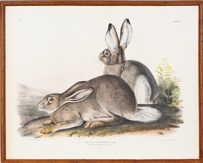 Lot 114 - After John James Audubon (1785-1851)