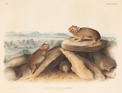 Lot 114 - After John James Audubon (1785-1851)