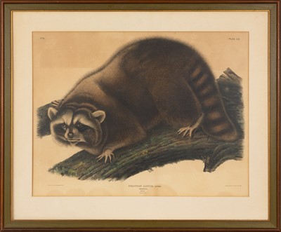 Lot 116 - After John James Audubon (1785-1851)