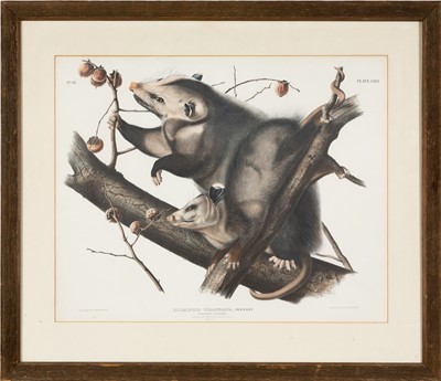 Lot 117 - After John James Audubon (1785-1851)