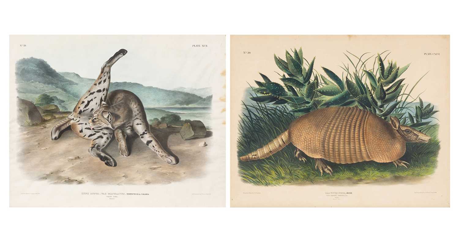 Lot 119 - After John James Audubon (1785-1851)