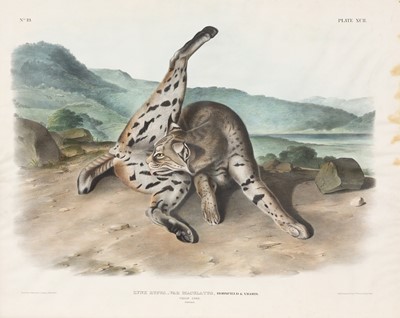 Lot 119 - After John James Audubon (1785-1851)