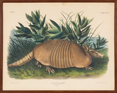 Lot 119 - After John James Audubon (1785-1851)