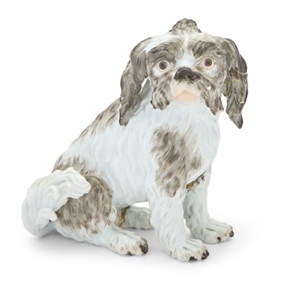 Lot 368 - Meissen Porcelain Figure of a Bolognese Terrier