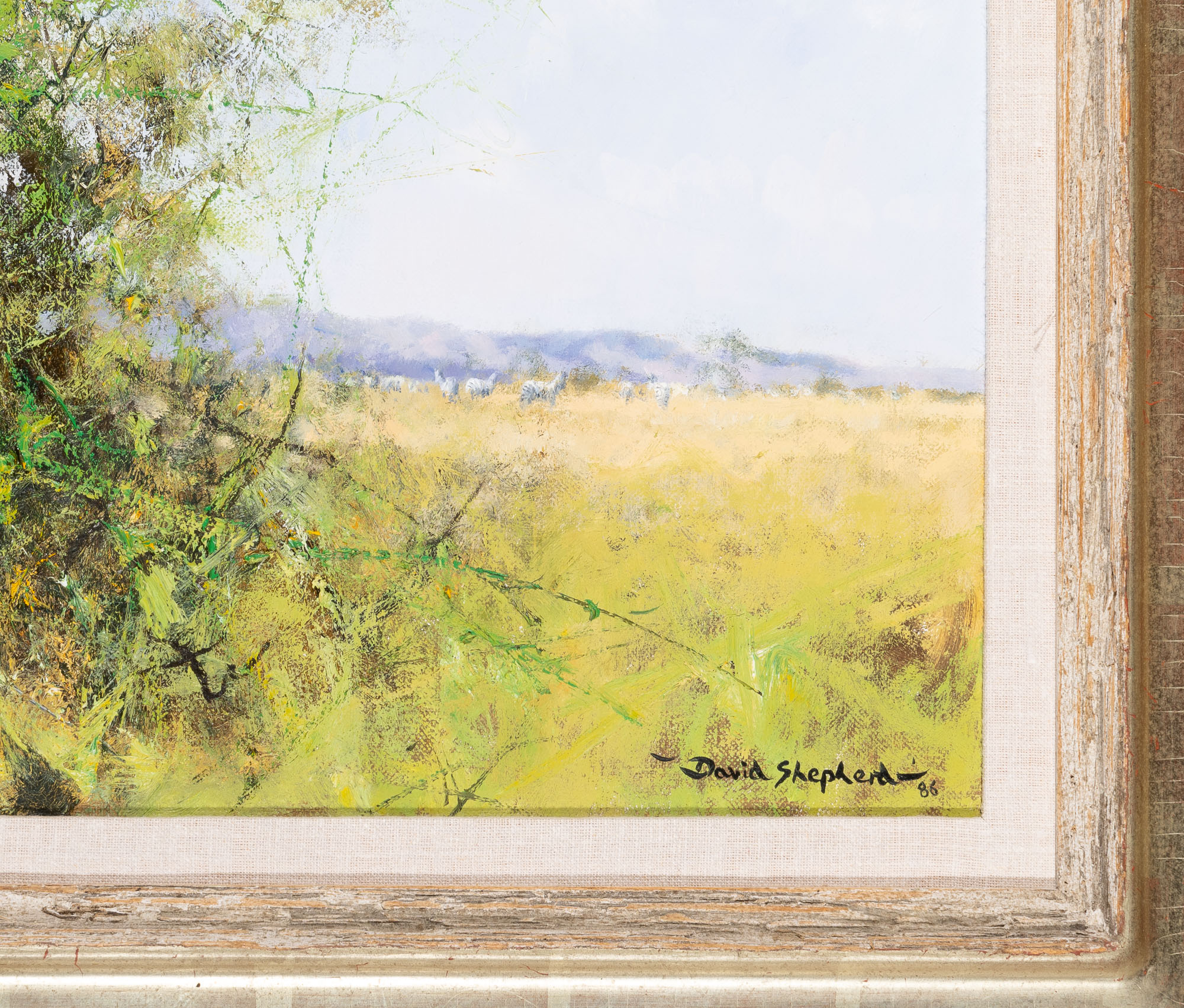 David (Richard David) Shepherd