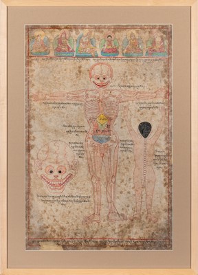 Lot 126 - A Tibetan Painted Anatomical Diagram on Paper