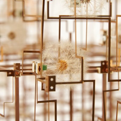 Lot 263 - Dandelion Seed, Phosphorous Bronze and LED Light Sculpture Entitled "Fragile Future Drift Flowers"