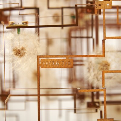 Lot 263 - Dandelion Seed, Phosphorous Bronze and LED Light Sculpture Entitled "Fragile Future Drift Flowers"